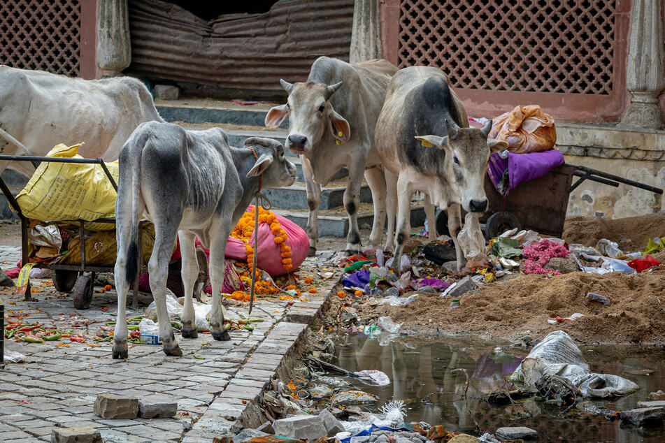 Companies in Big Oil-backed anti-plastic pollution alliance produce more waste than they remove