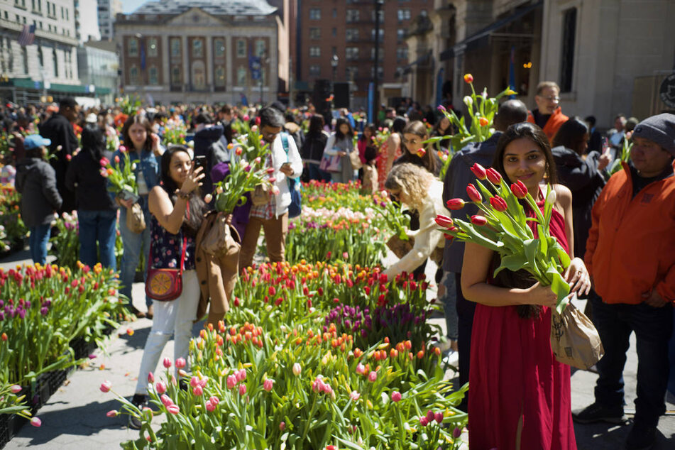 New York City to offer free flower bouquets in Union Square for Tulip Day!