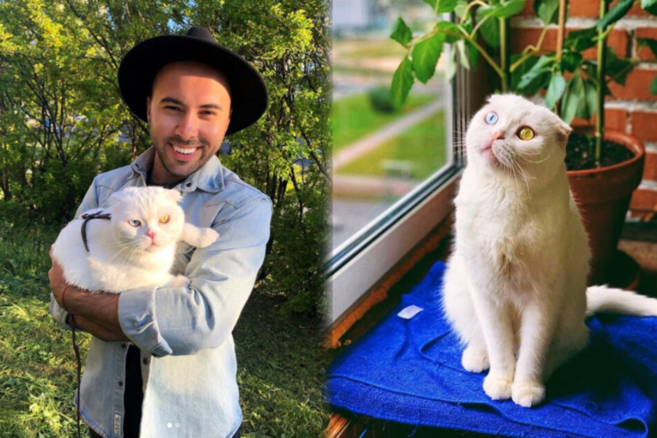 Nobody wanted this cat – now he's an Instagram influencer!