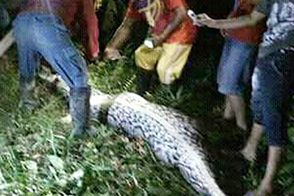 A man was discovered in the stomach of a python about 23-feet long in 2017.