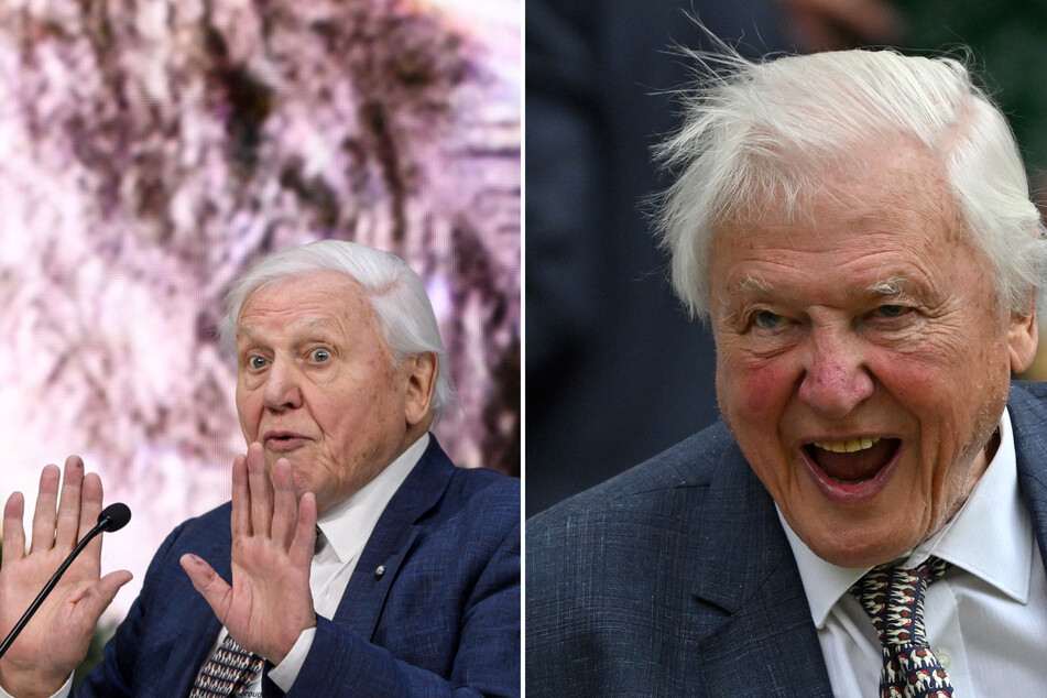 Iconic naturalist David Attenborough celebrates 100th birthday