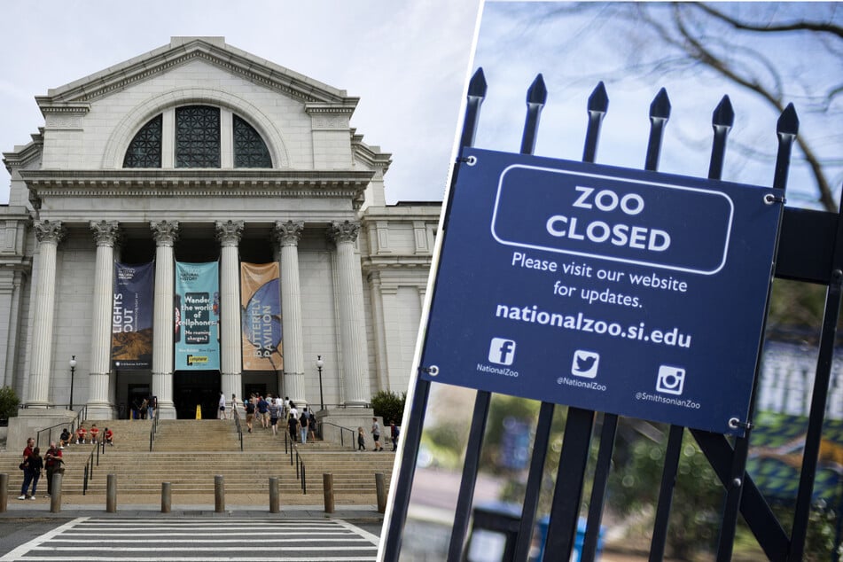 President Donald Trump ordered all "improper ideology" to be removed from the Smithsonian Group's museums and zoos.