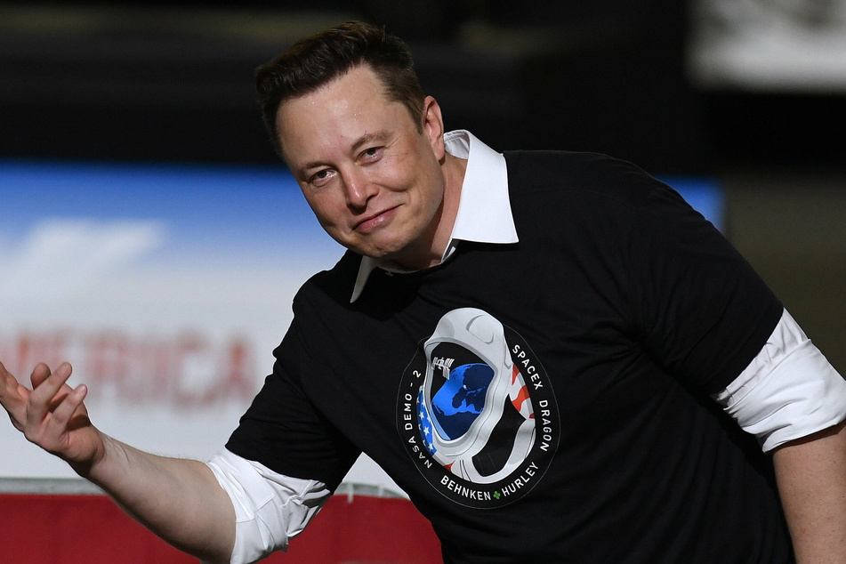 Elon Musk takes shot at Facebook with "Domino Effect" meme
