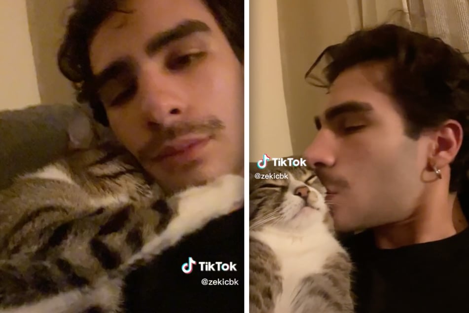 Cuddly cat captures TikTokers' hearts with sweet reaction to a kiss