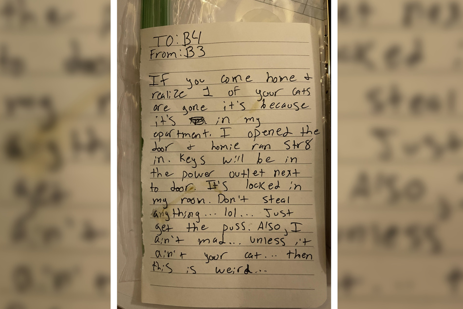A resident left this note for his neighbor to inform them that their cat had wandered into his premises.