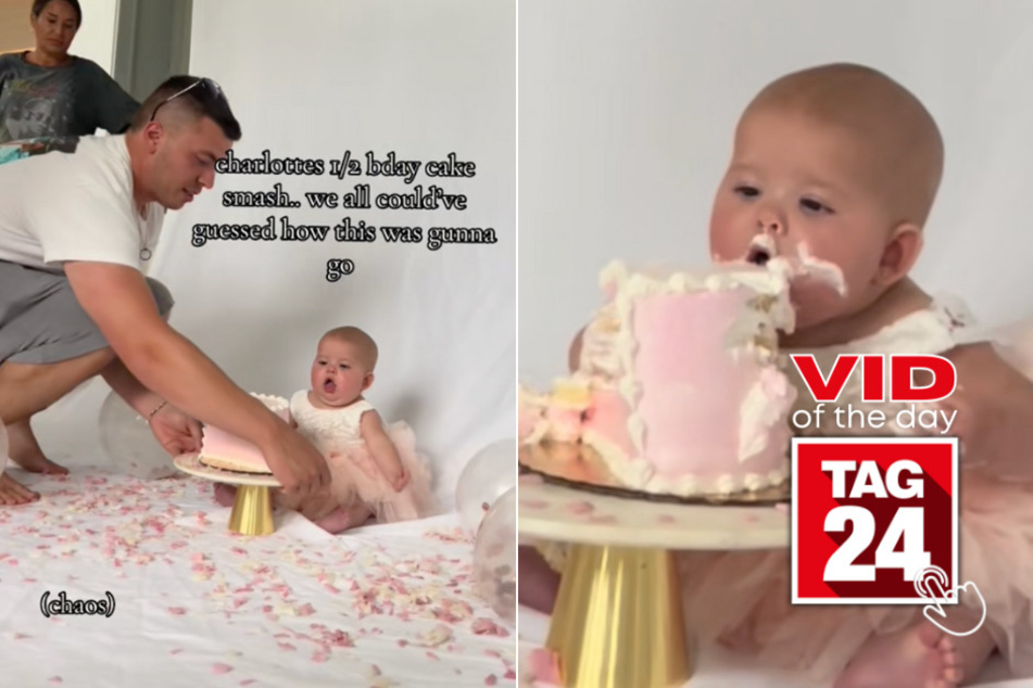 Viral Video of the Day for August 20, 2024: Baby devours smash cake in "cutesy and demure" way