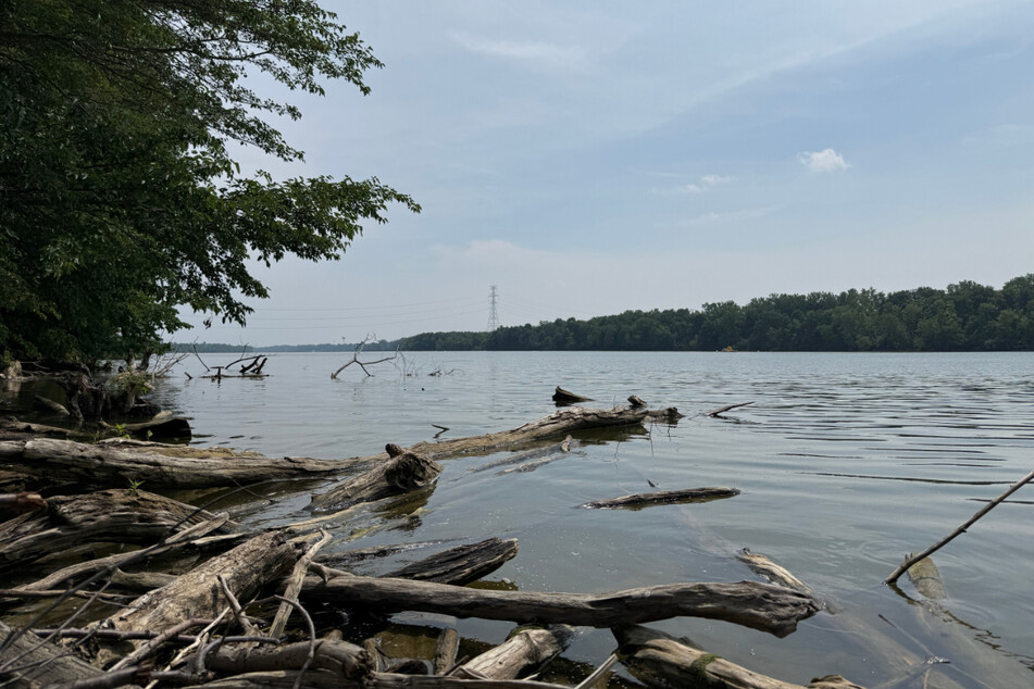 Two couples from Honduras and another adult drowned in the Scioto River this week.
