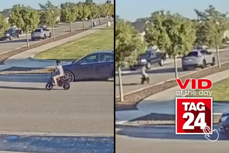 Viral Video of the Day for August 9, 2026: Neighbors ask who hit their car – security footage reveals hilarious culprit!