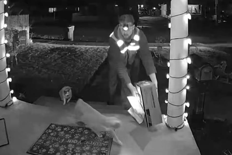 Delivery man Kade Parson is greeted by the cats on his arrival.