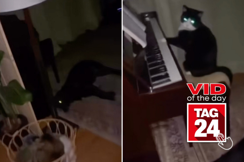 Viral Video of the Day for January 26, 2026: Woman investigates mysterious music – and finds her cat playing piano!
