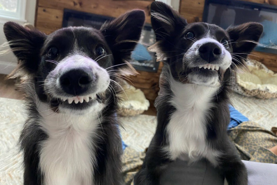 Sky has a very special smile.