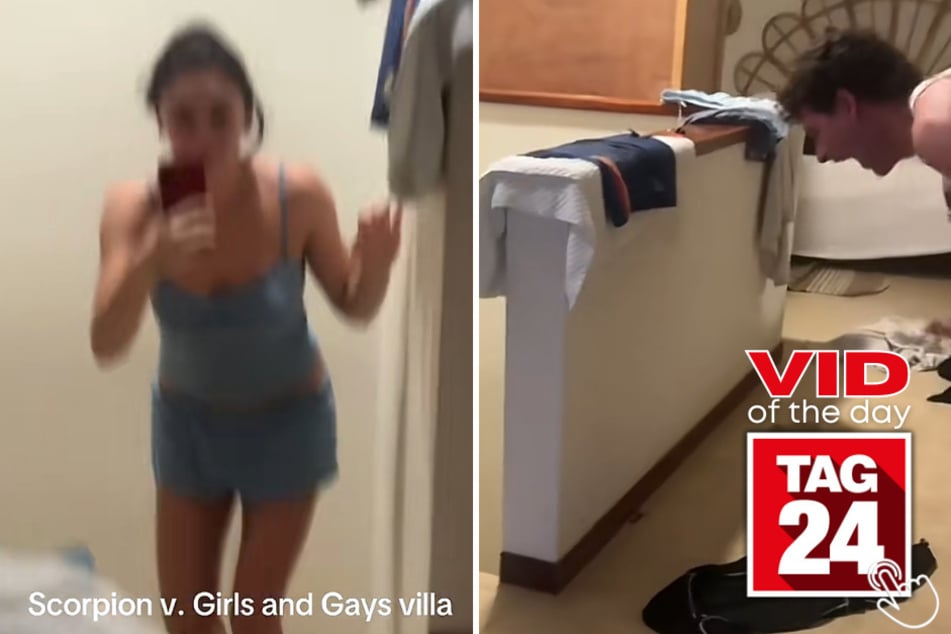 This group's Costa Rica vacation took a terrifying turn after a scorpion showed up inside their villa, sending everyone into full panic mode.