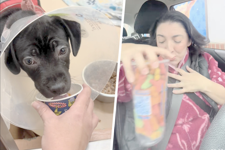 A woman wanted to get treats for a couple of dogs at the shelter, but a local café surprised her and gave her a "pup cup" for each dog.