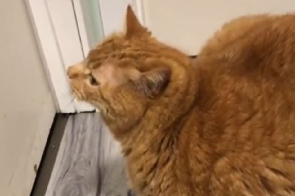 Reznor scratches himself instead of the door.