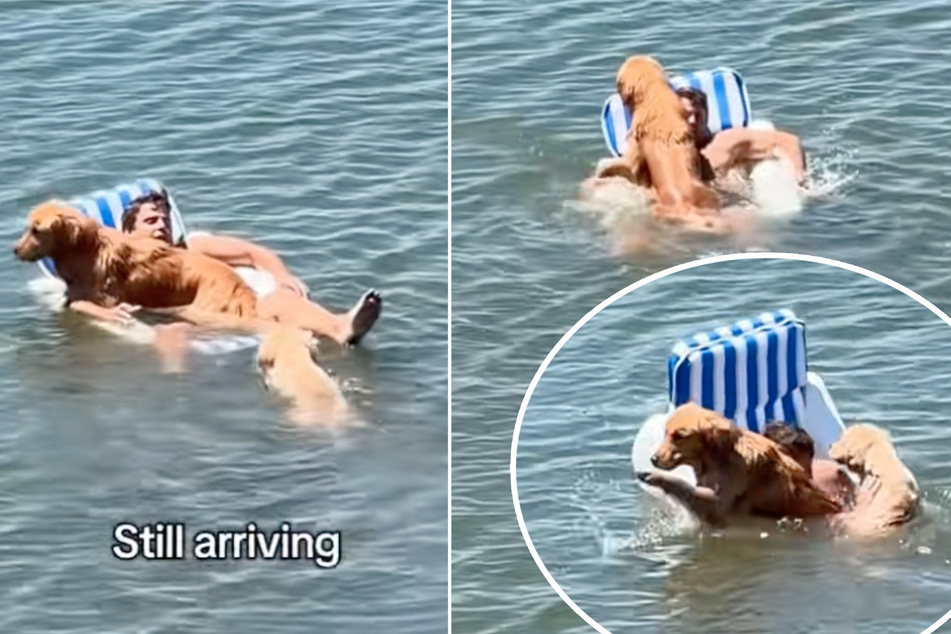Dogs attempt to "rescue" their relaxing dad in hysterical video: "No man left behind"