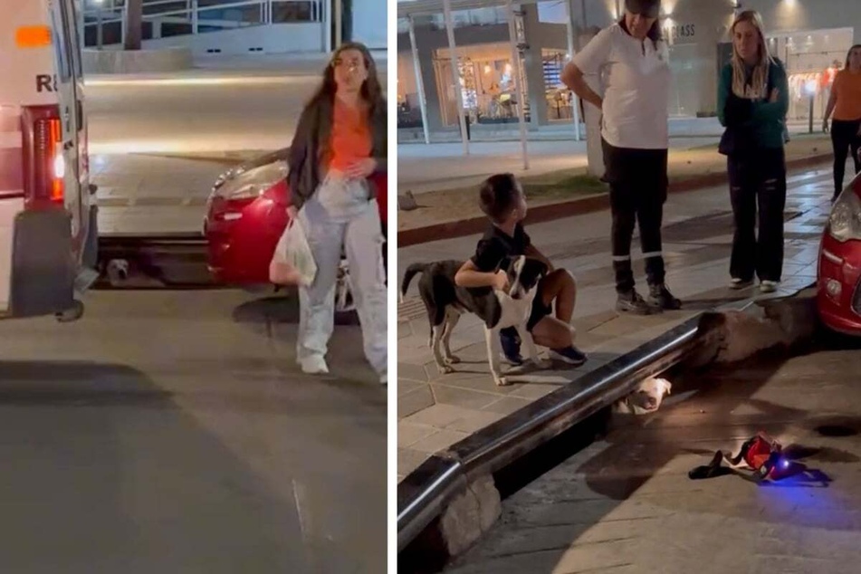 Heroic dog saves his trapped friend