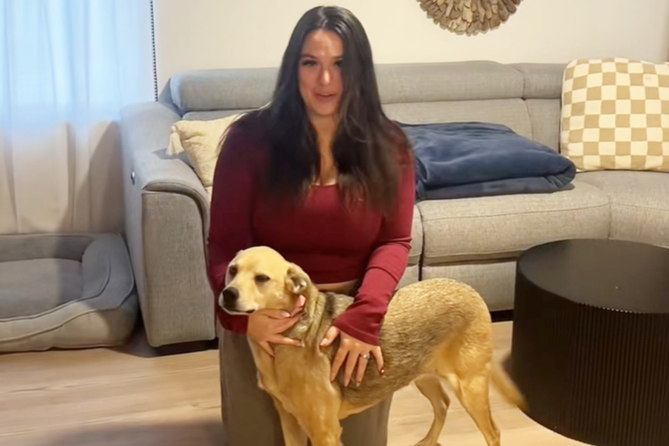 Zira has a little bit of many dog breeds in her, but she has nothing to do with a coyote – to the delight of her owner Michaela Hyle!