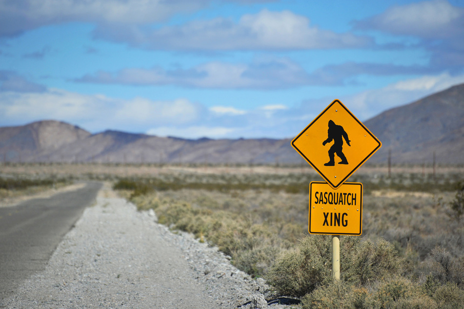 There is no proof of existence for Bigfoot, also known as Sasquatch, but his legend goes way back in history (stock image).