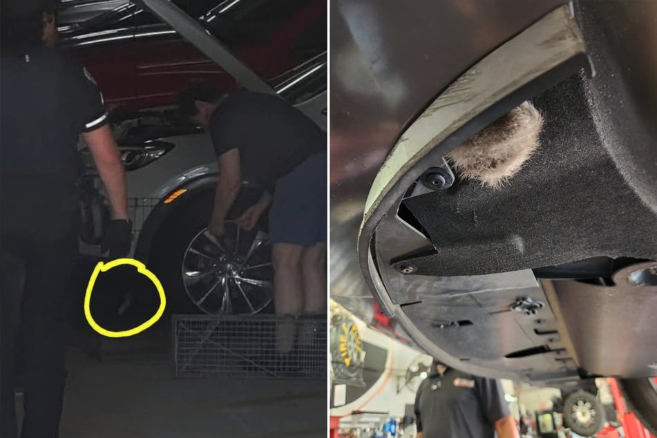 In a parking garage, the emergency responders tried to rescue the little hidden kitten!