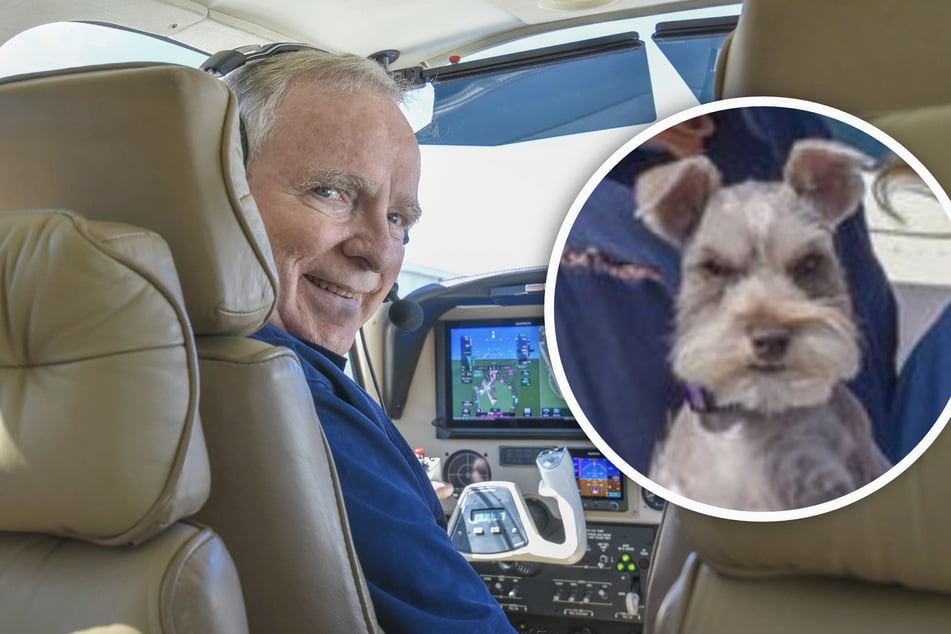 Dog miraculously survives crash that kills experienced flight instructor and his wife