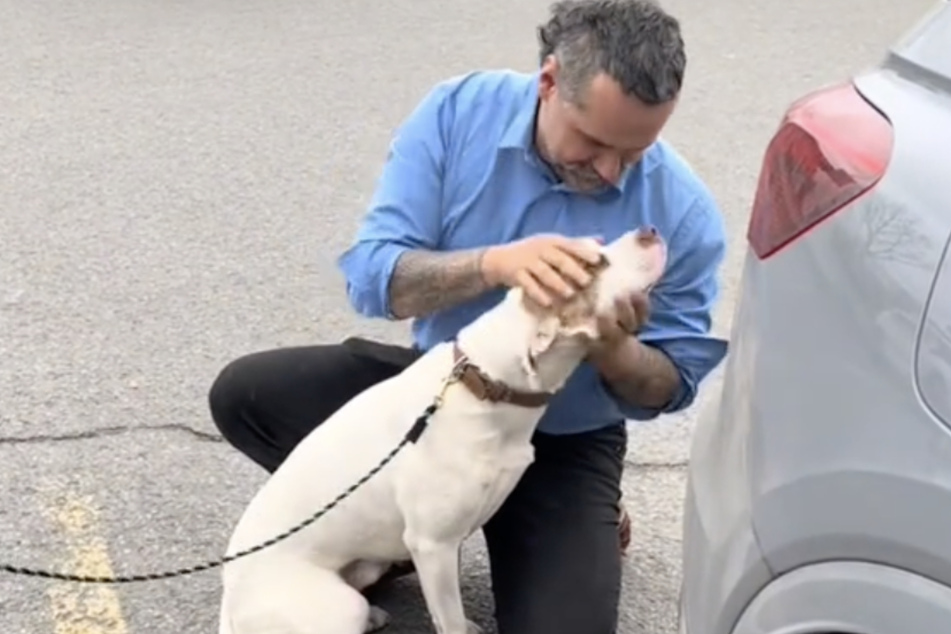 In July, Patrice Lavoie adopted the pit bull Leon.