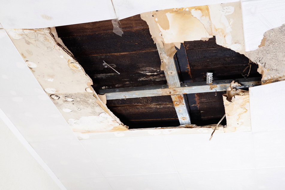Child's skeleton falls from a home's ceiling in gruesome mystery