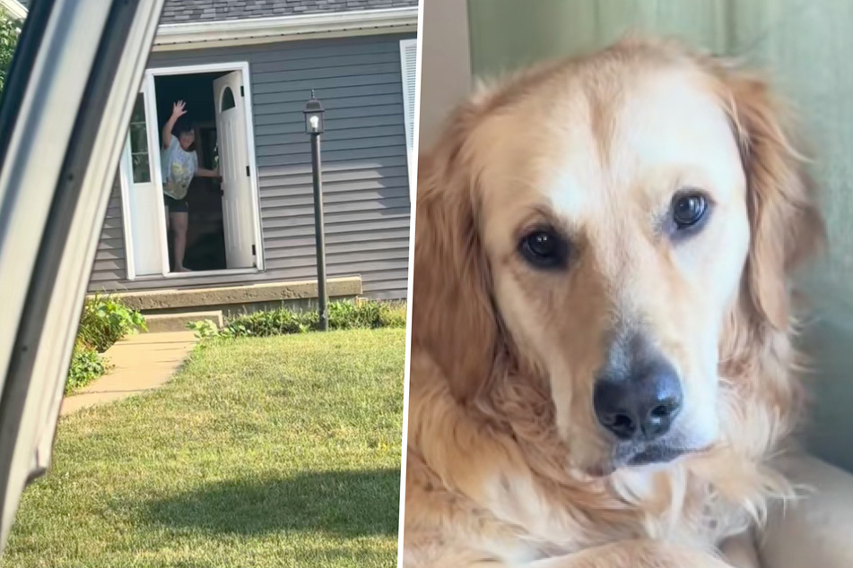 Chaotic dog has the funniest reaction to seeing his Grandma: "BYE FELICIA"