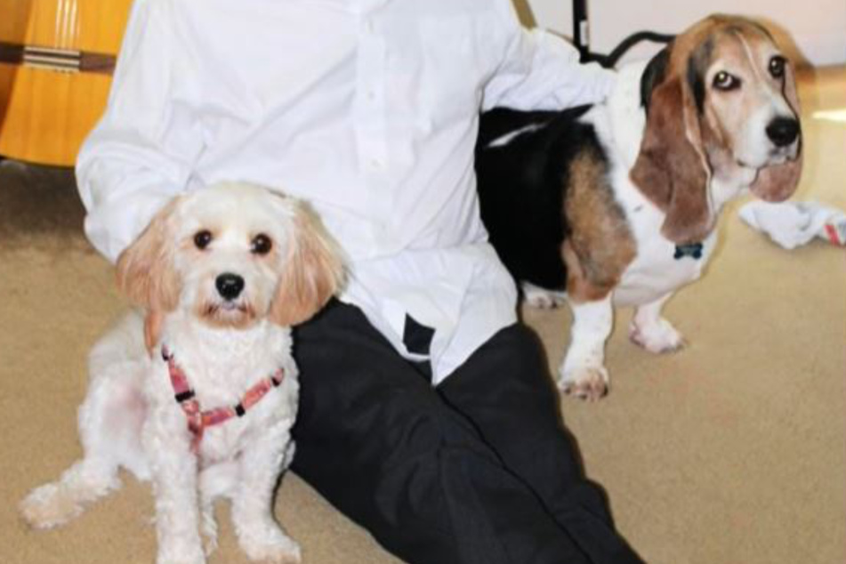 An old photo of Errol and Romeo from the dog days!