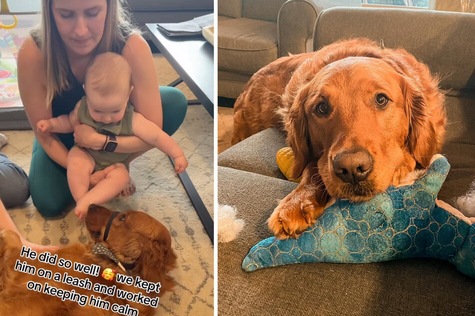 Kobe gets some practice for his new sister's arrival.