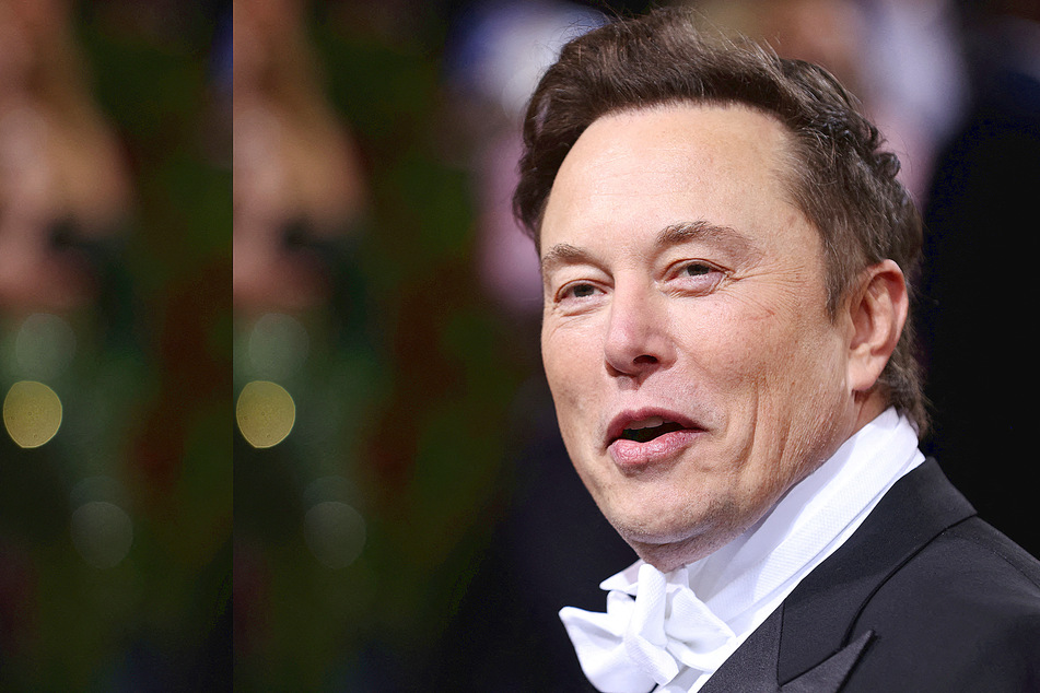 Elon Musk reveals vote in Texas special election and preference for president