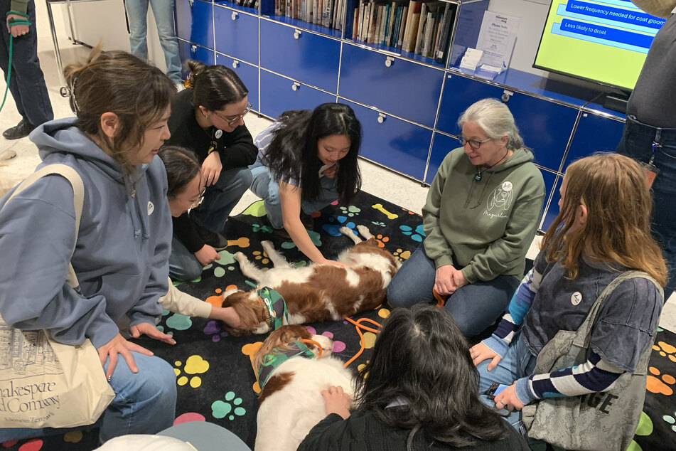The dogs were happiest at the end of the presentation portion when the audience came up to pet them and hand out treats!