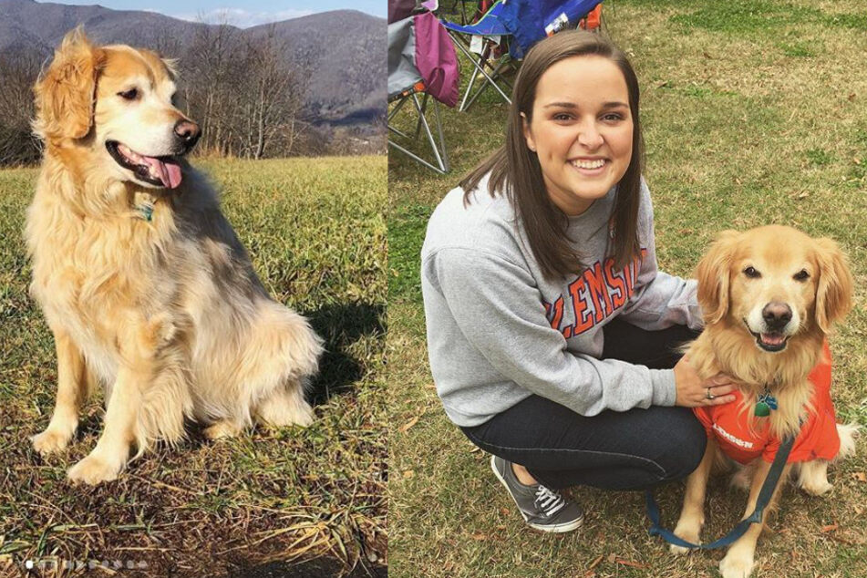 Woman's heartwarming obituary for her dog goes viral
