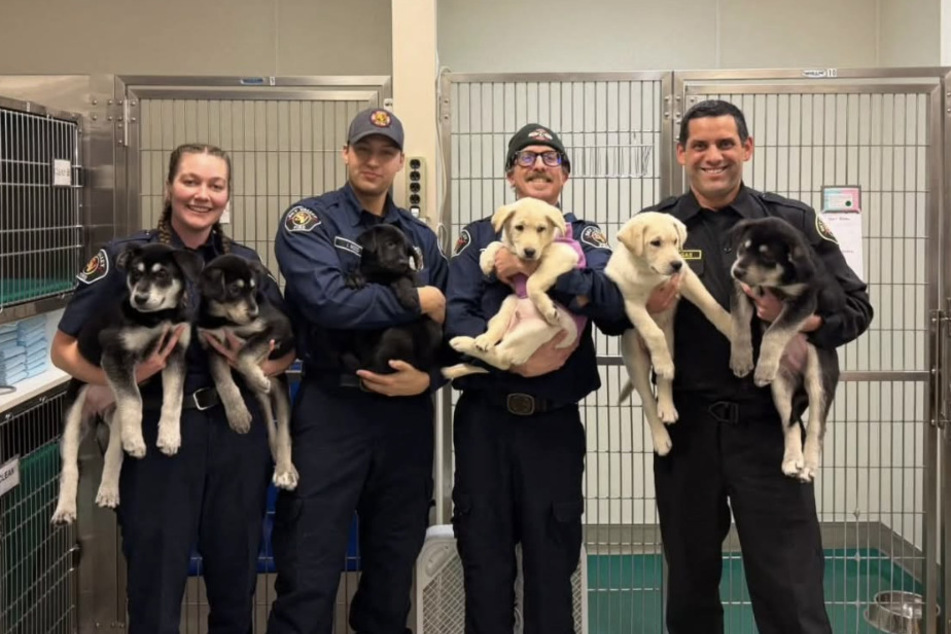 When the dogs arrived at the Sky Valley station, firefighters immediately administered first aid.