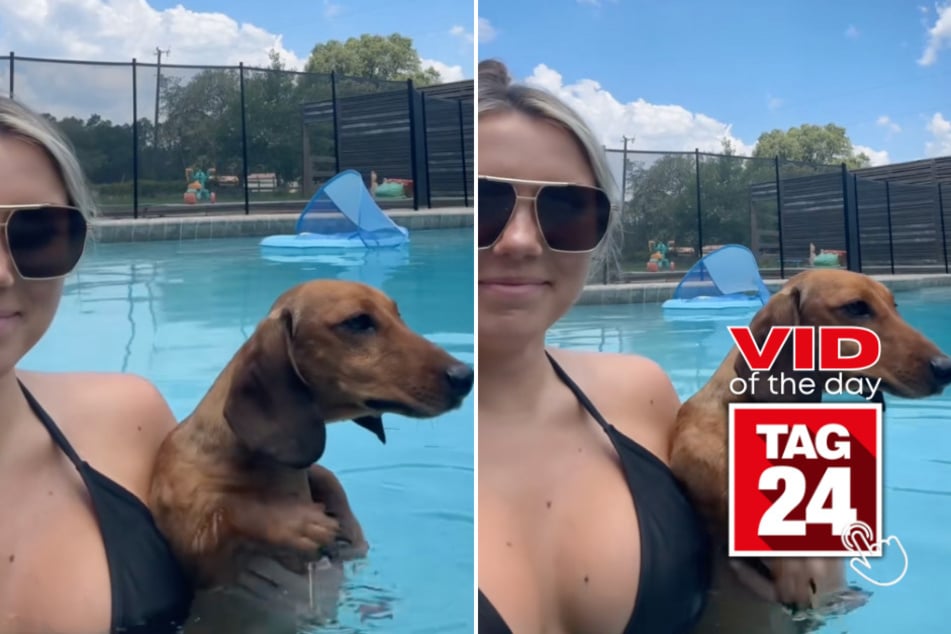 Viral Video of the Day for April 8, 2025: Wiener dog's lazy pool paddle wins over TikTok!