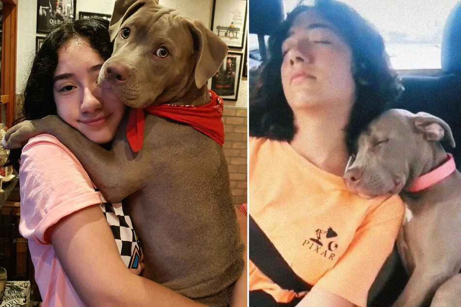 Dog-tired: teen and her pooch snooze together after long day at the beach