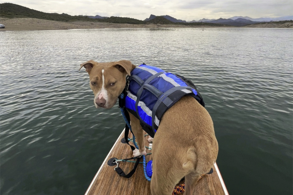 Chance put his paddleboard skills to the test for the first time in the middle of the water.