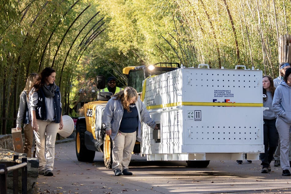 Washington DC's beloved pandas return to China amid diplomatic strain