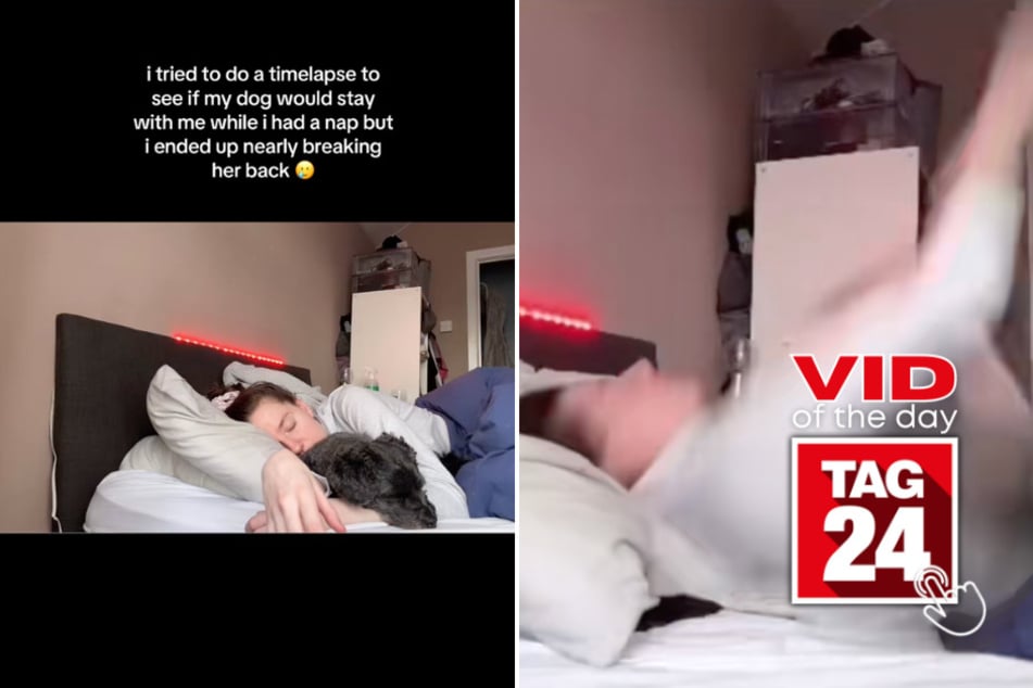 Viral Video of the Day for March 5, 2026: Woman sends dog flying during a nap!