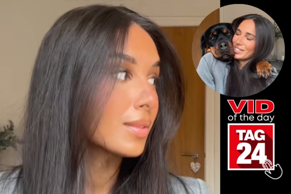 Viral Video of the Day for April 4, 2023: Needy Rottie