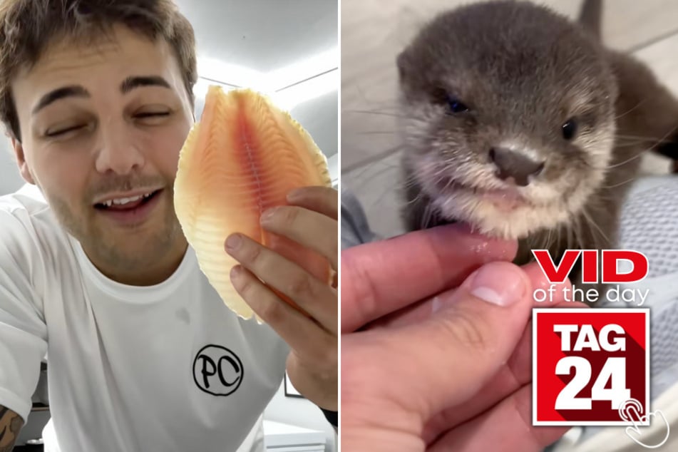 This baby otter's reaction to trying fish for the first time has TikTok viewers in awe!