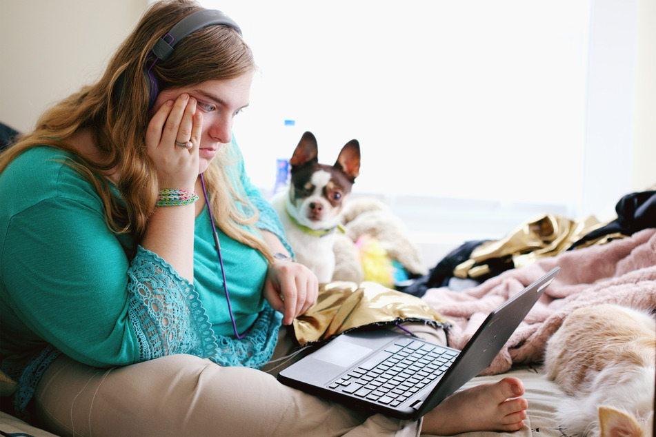 Dogs can get stressed too, so they shouldn't be left alone for long.
