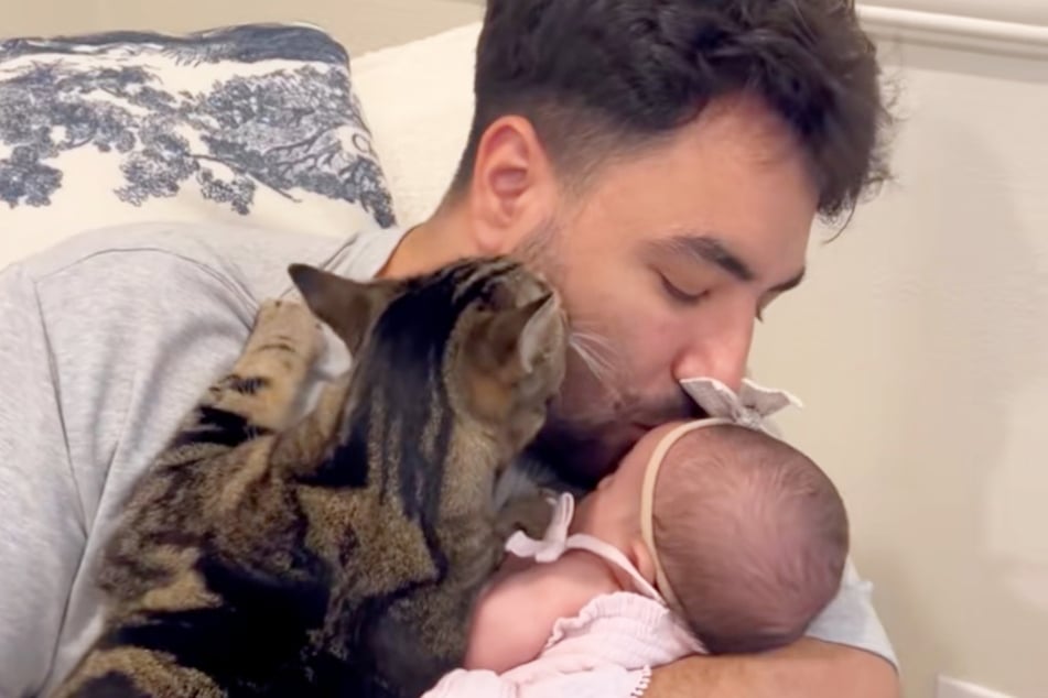 When Kareem kisses his daughter, the cat also "kisses" him!