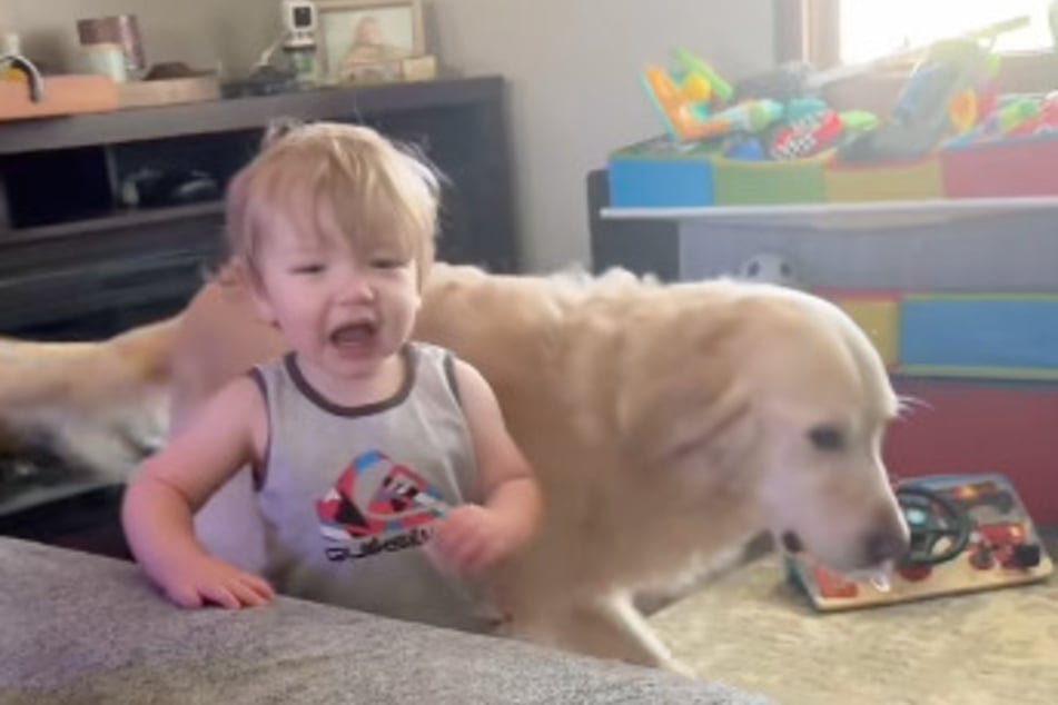When Jessica Dierkes recently heard a scream coming from her son's nursery, her blood ran cold. Was her baby boy or the family dog in danger?