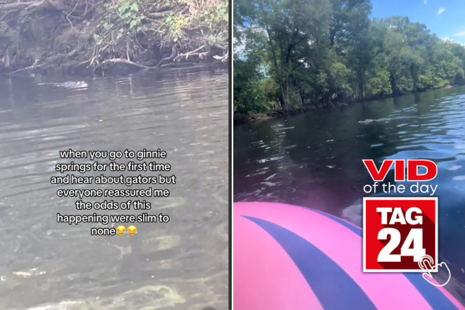 Viral Video of the Day for June 28, 2024: Alligator swims toward Florida woman in springs: "Get me out!"