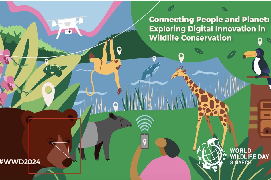 World Wildlife Day: Animal fun to make you roar