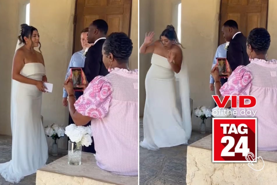 Viral Video of the Day for July 29, 2025: Spiders drop terrifying surprise during dream wedding!