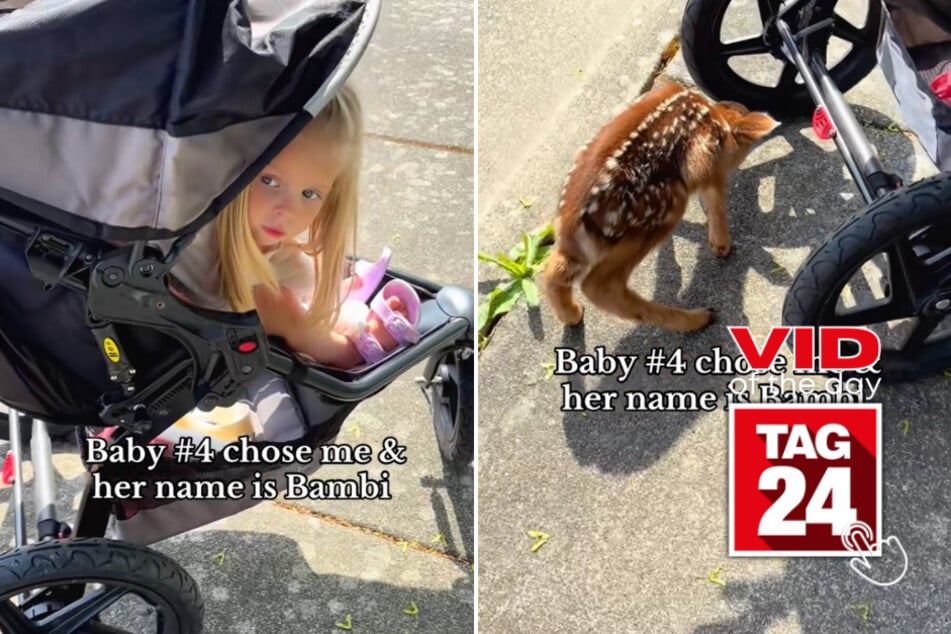 Viral Video of the Day for May 5, 2025: Mom's walk turns magical with baby deer "Bambi" hiding under stroller