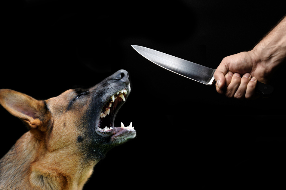 Man claims to be God before stabbing himself and his dog