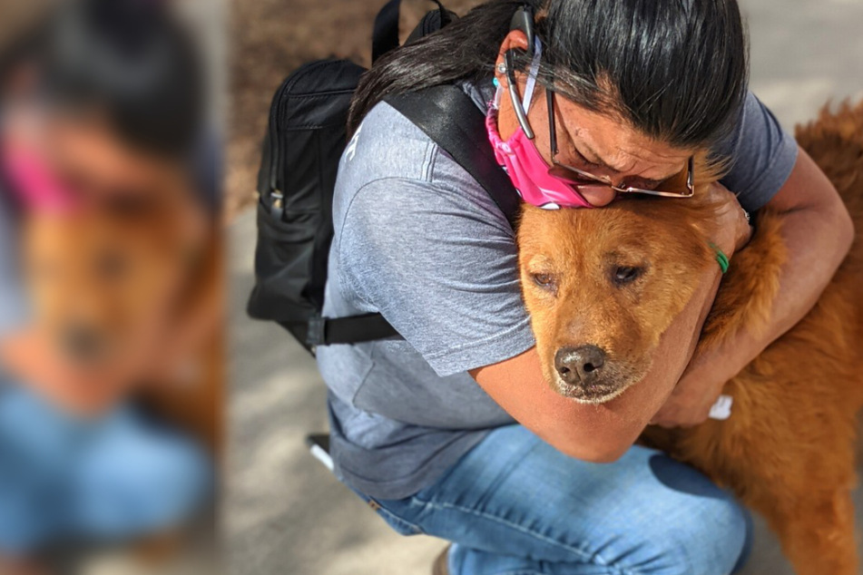 Thanksgiving miracle: dog and owner reunited after years apart
