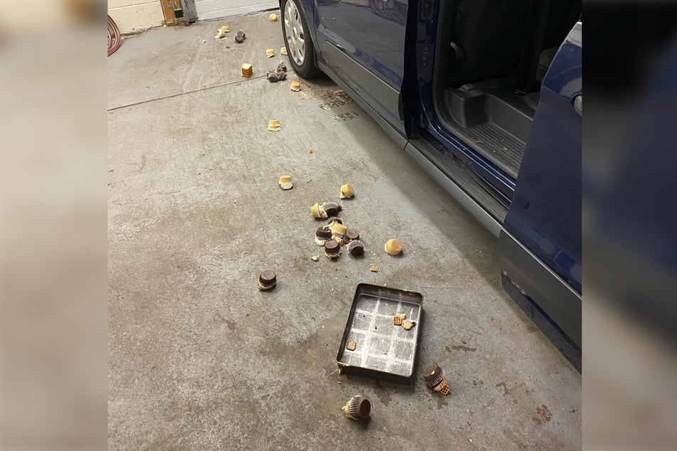 The owner shared the aftermath of the bear's visit on Instagram, saying it "destroyed 60 cupcakes [and] a bunch of coconut cake."